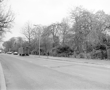 884611 Gezicht op het hek en de beplanting van de 1e Algemene Begraafplaats Soestbergen langs de Gansstraat te Utrecht.